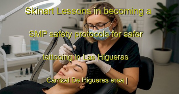 Skinart Lessons in becoming a SMP safety protocols for safer tattooing in Las Higueras  Carrizal De Higueras area | SmpTraining | SmpClasses | SkinartTraining-Mexico